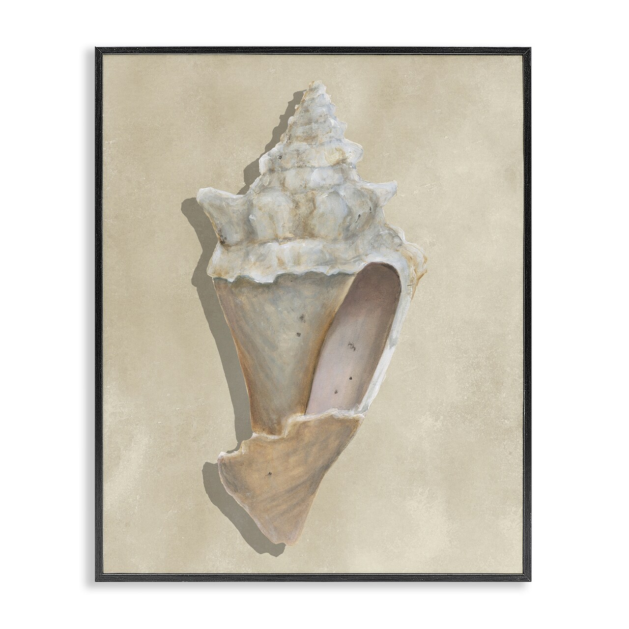 Stupell Industries Tan Toned Conch Shell Framed Giclee By Michael Willett